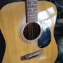acoustic guitar Image 8