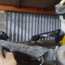 yamaha r1 rad 03 Image 3