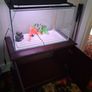 Fish Tank and Cabinet Image 6
