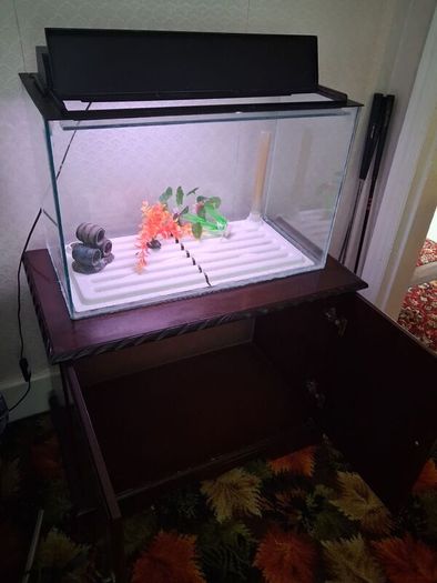 Fish Tank and Cabinet