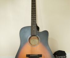 Donner Junior Guitar