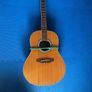guitar and mandolin projects Image 5