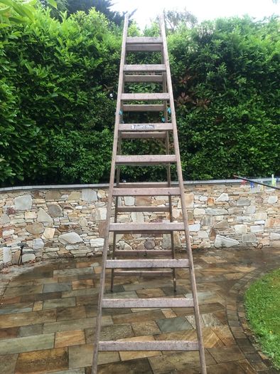 painters ladder
