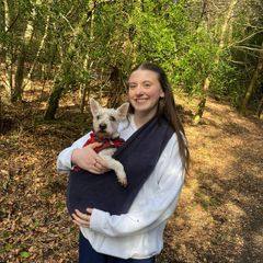Small Dog Sling