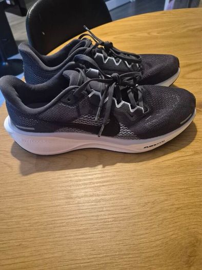 Mens Nike Pegasus Running shoes