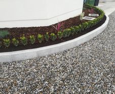 Box Hedging