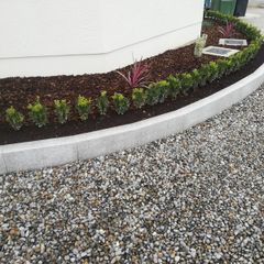 Box Hedging