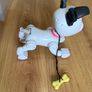 Dog-e Image 2