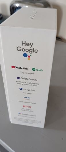 Google Nest Mini Working perfectly