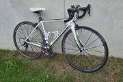 Cannondale carbon
