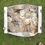 Flat sea shells Image 10