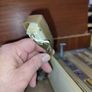 Fidelity Radio Company Radiogram RG33 vintage radio/turntable Image 10