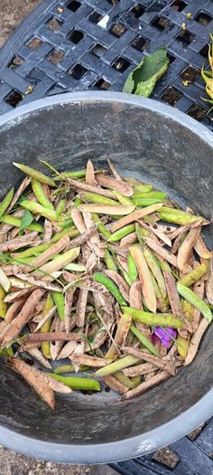 Free sweetpea seeds