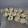 Home decor Image 3