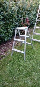 step ladder