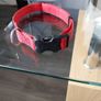 multifunctional dog lease and collar Image 2