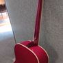 Freshman Acoustic Guitar And Case Image 5