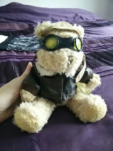 The Bear Collection - Pilot Bear