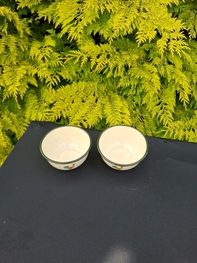 2 chicken enamel bowls possible to post
