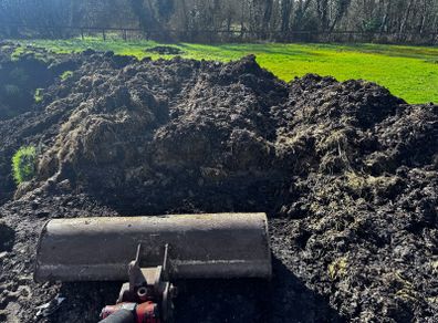 manure compost