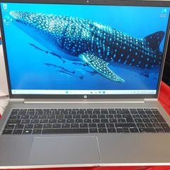 Hp Probook 455 G8 Notebook Pc - Ryzen 5 5600u - 16gb Ram - 256gb Nvme