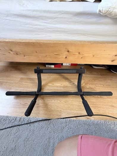 pullup bar door