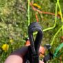 Independence Pioneer M paraglider + Independence Logo! Pro harness (with reserve chute) sold as a set Image 5