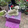 garden decor Image 2