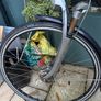 Gazelle Bike Image 3