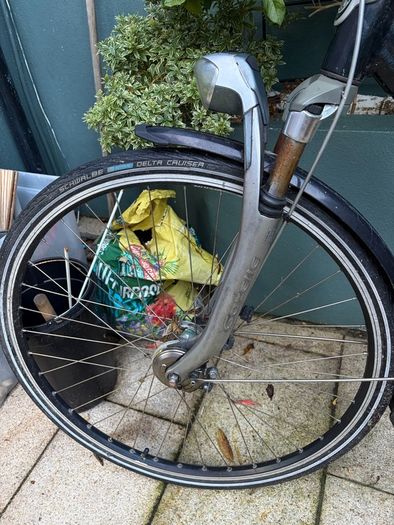 Gazelle Bike