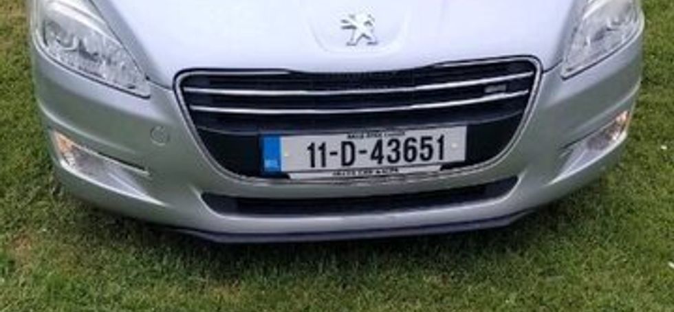 Cat Peugeot 508
