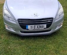 Cat Peugeot 508