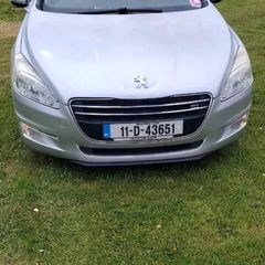 Cat Peugeot 508
