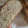 Live Sourdough Bread Starter Image 4