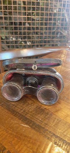 Vintage Binoculars