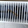 Double Radiator Firefly Image 4