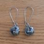 Earrings Image 2