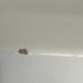 Headboard Image 5