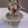Two Jade Bonsai Trees Image 2