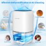 Dehumidifier 1000ml, Dehumidifiers for Home, Auto Off&Coloured LED Light, Peltier Technology Update, Portable and Ultra Quiet, Dehumidifiers for Drying Clothes, Bedroom, Bathroom, Wardrobe (FREE POSTAGE) Image 2