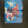 Spider Man Comic Image 3