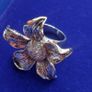 dress ring 3 for 2 on all clothing and jewellery Image 5