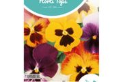 Pansy Trimardeau Mixed 0.4g | Sow in July (513506)