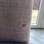 3 seater sofa Image 5
