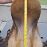 Equestrian Saddles x 6 Image 10