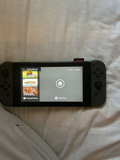 Nintendo switch