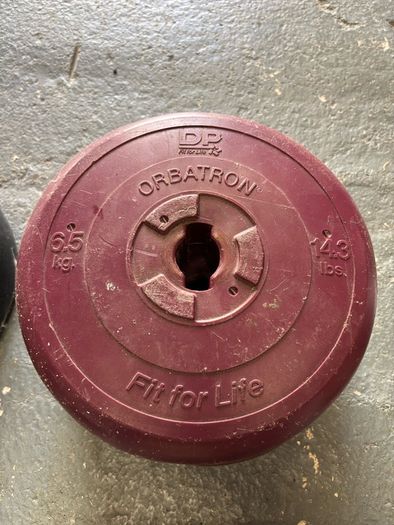 York and Pro Power weight plates.