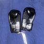 Boxing Gloves 10z (brand New) Image 2
