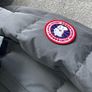 canada goose Image 5