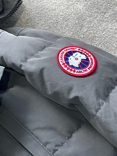 canada goose